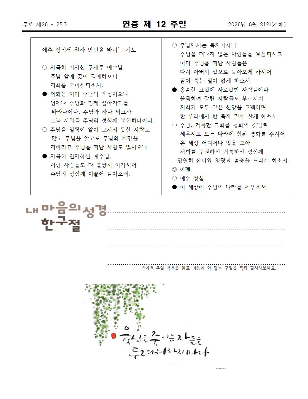 2026년 06월21일 연중 제 12주일004.jpg